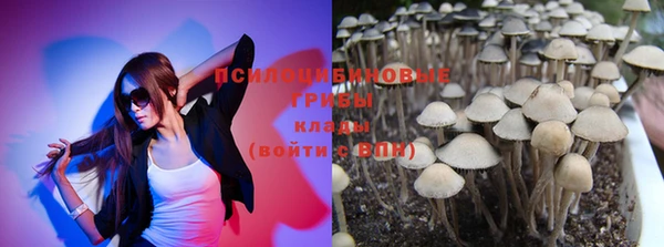 ПСИЛОЦИБИНОВЫЕ ГРИБЫ Армянск