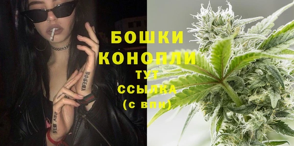 прущая мука Магас