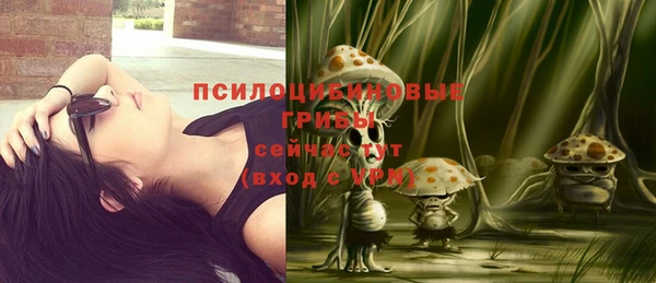 эйфоретик Аркадак